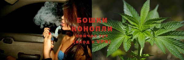 прущие крисы Заволжье