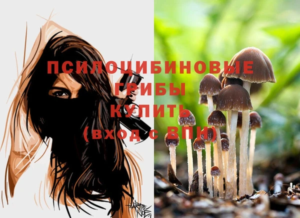 spice Калининец