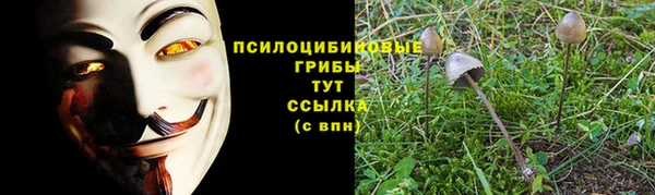 прущие крисы Заволжье