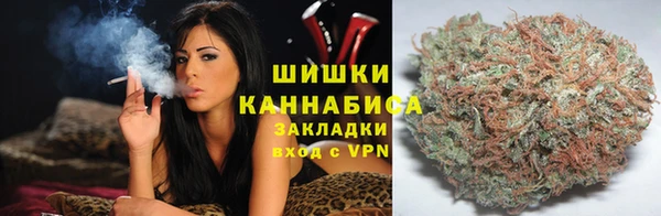 марки nbome Заводоуковск